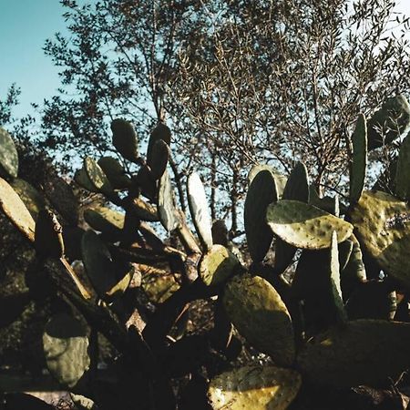 Tenuta Trullo Acquaro Остуни Экстерьер фото